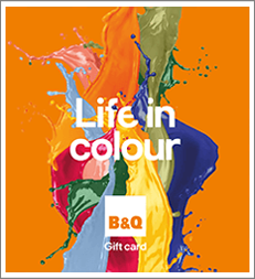 Life in Colour