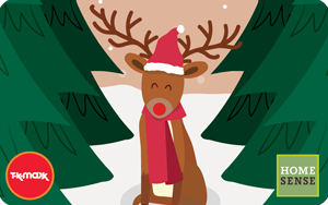 Festive Reindeer Personalised ROI