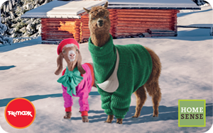 Llama Christmas Personalised UK