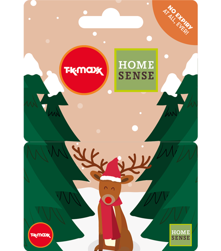 TK Maxx Festive Reindeer GC ROI