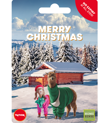 TK Maxx Llama Christmas GC UK